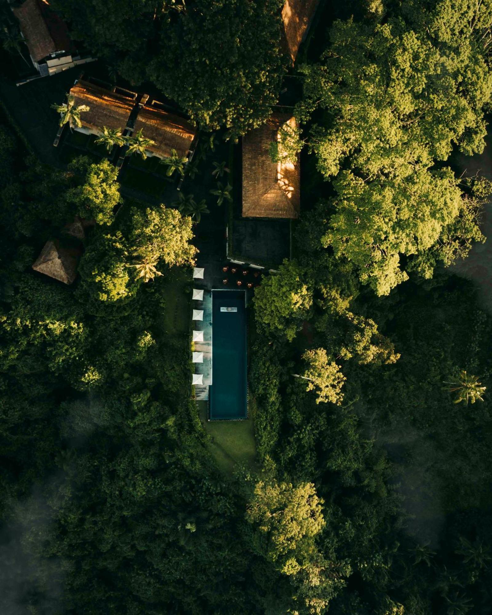 Alila Ubud Payangan Екстериор снимка
