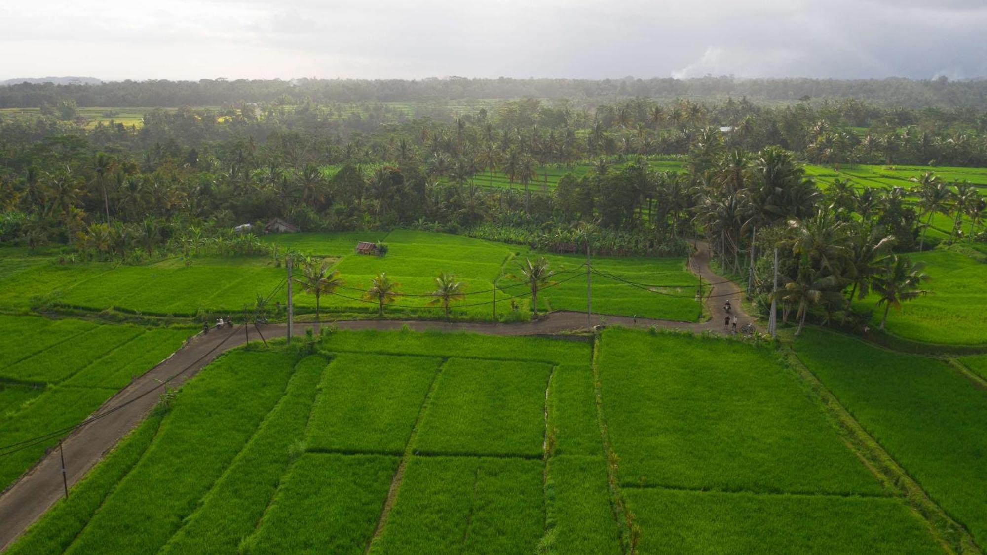 Alila Ubud Payangan Екстериор снимка